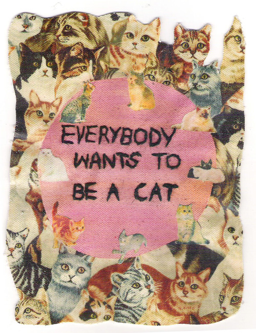 Everybody wants to be a cat