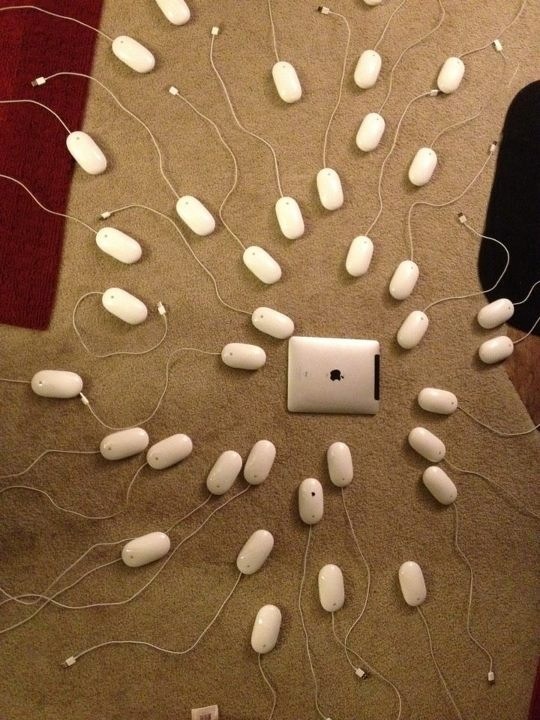 How an iMac is born