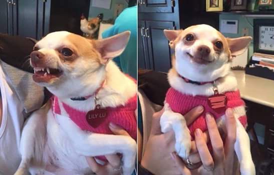 Me before and after coffee