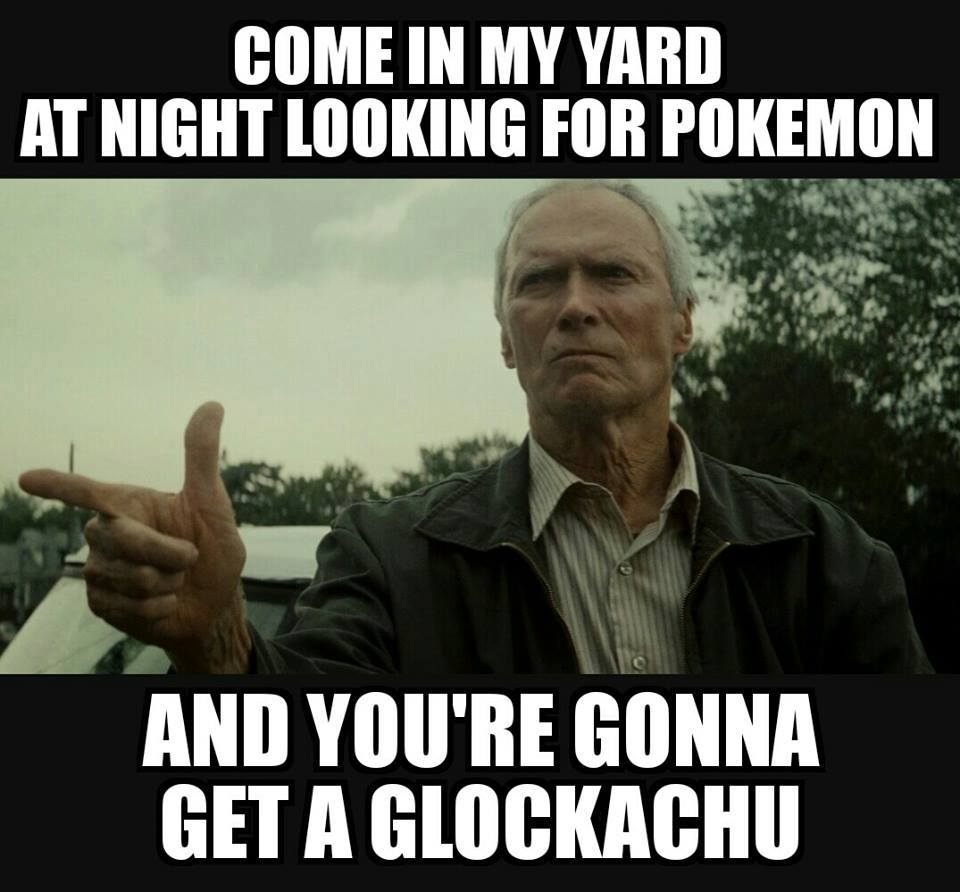 Come in my yard at night looking for Pokemon…