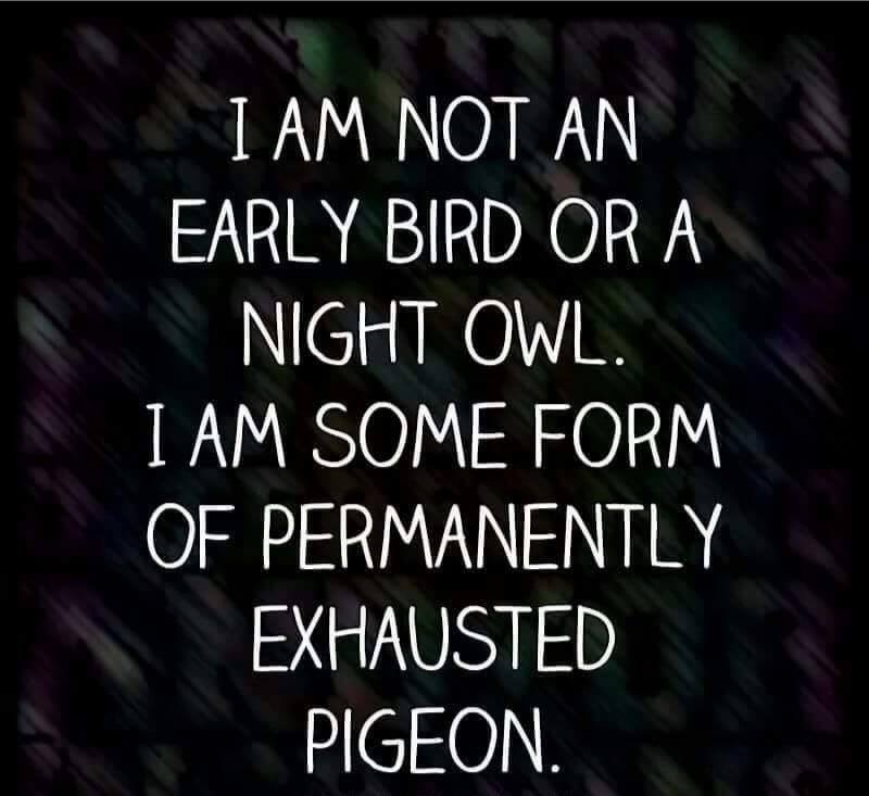 Permanently exhausted pigeon