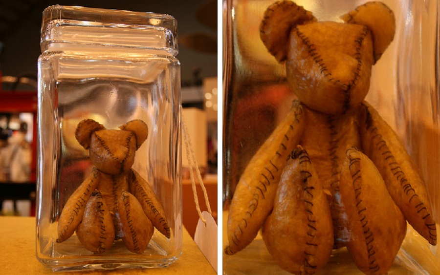 Teddy Bear made from mom’s placenta
