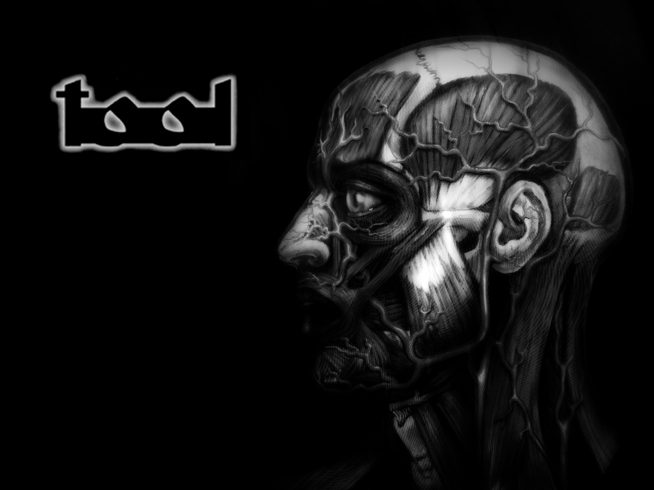 TOOL releasing double album “Decem” this fall and it’s over 2.5 hours long! #3