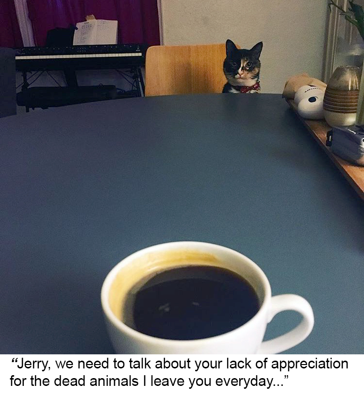 We need to talk about your lack of your appreciation…