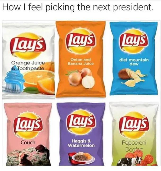 How I feel picking the next president.