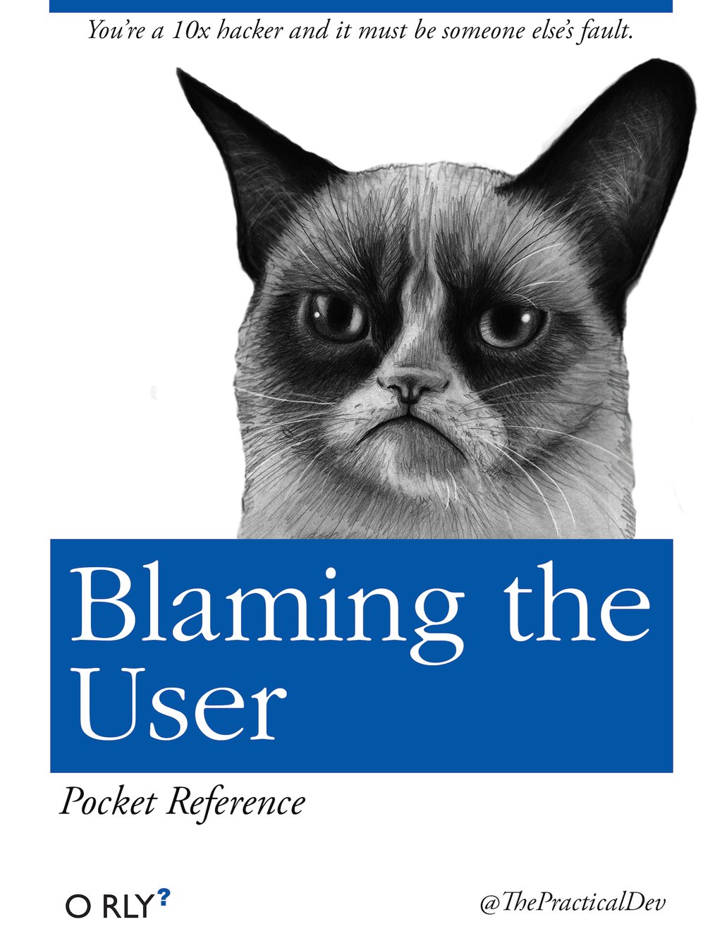 Blaming the User
