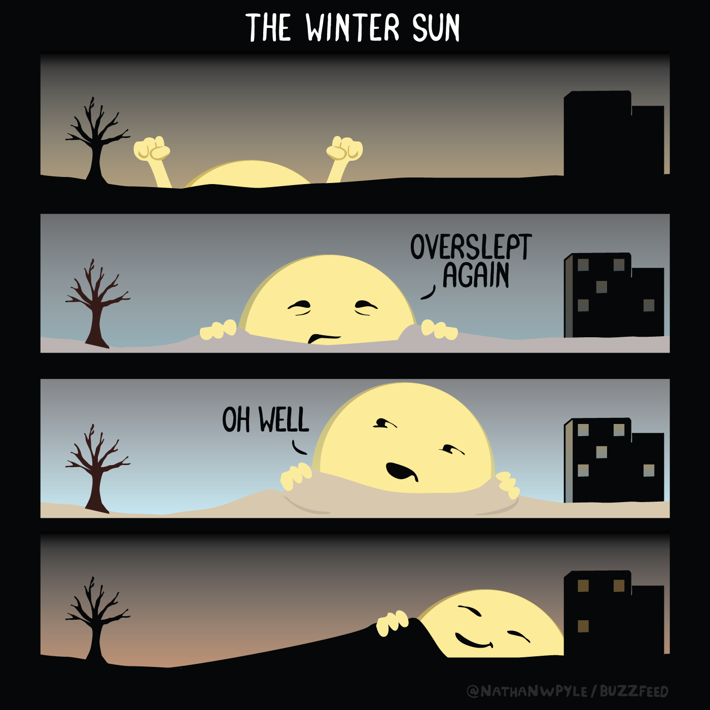 Lazy winter sun