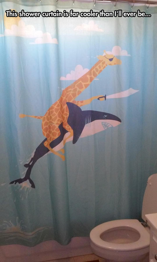 Pirate giraffe riding a shark