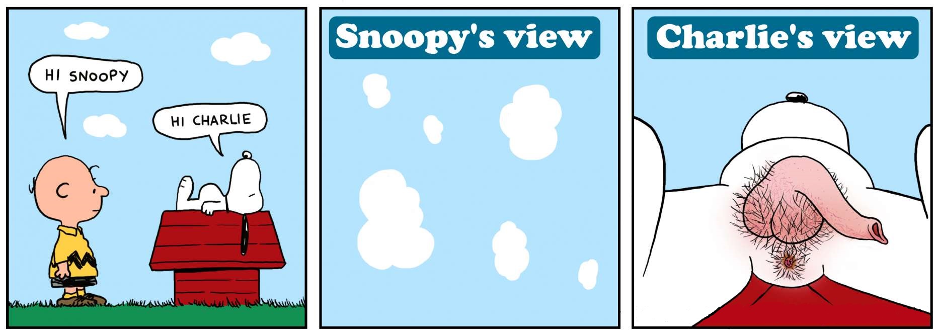 Snoopy’s view vs Charlie’s view