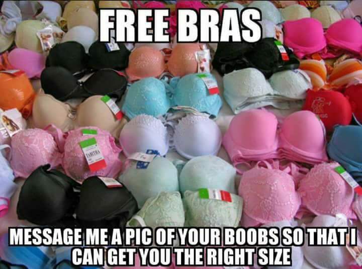 Free bra hot deal