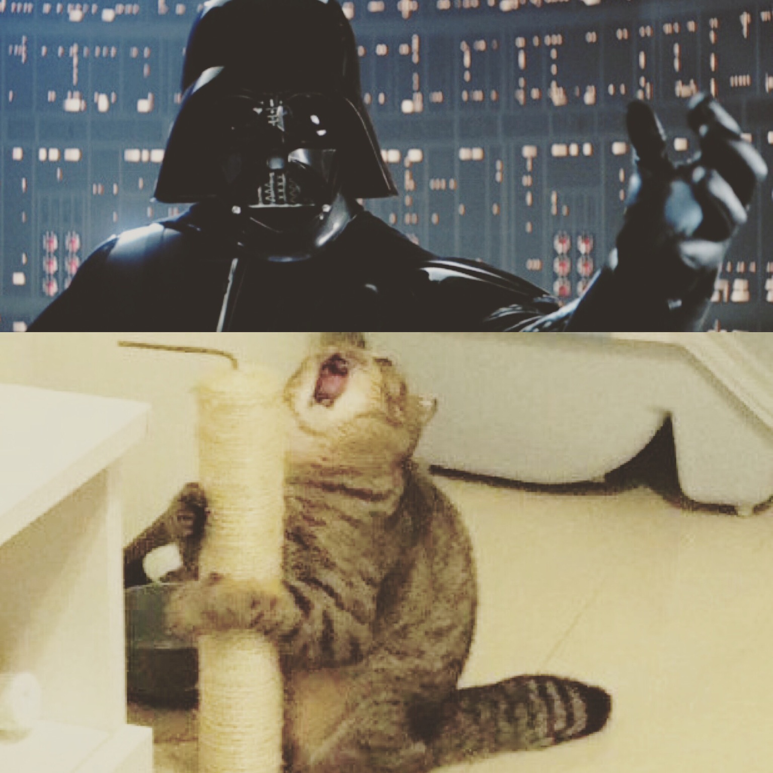 ‘No, I am your father….’