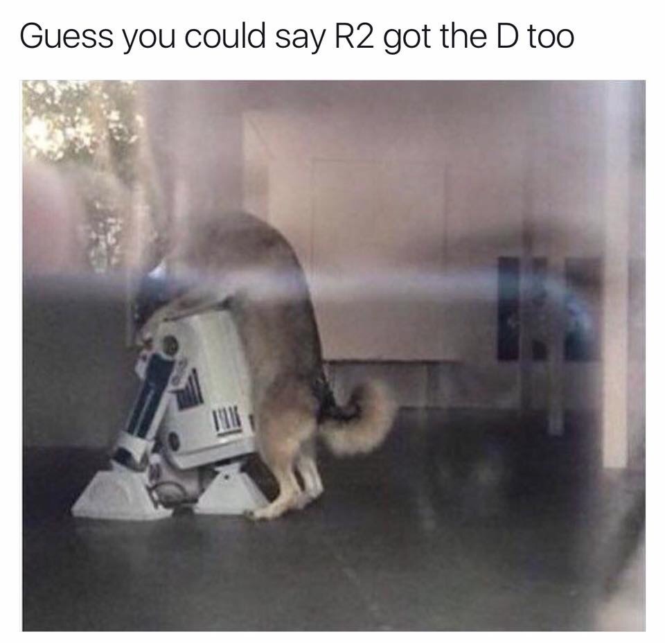 R2D2 is having a ruff day.