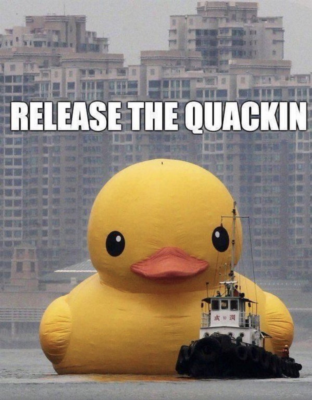 Release the Quackin!