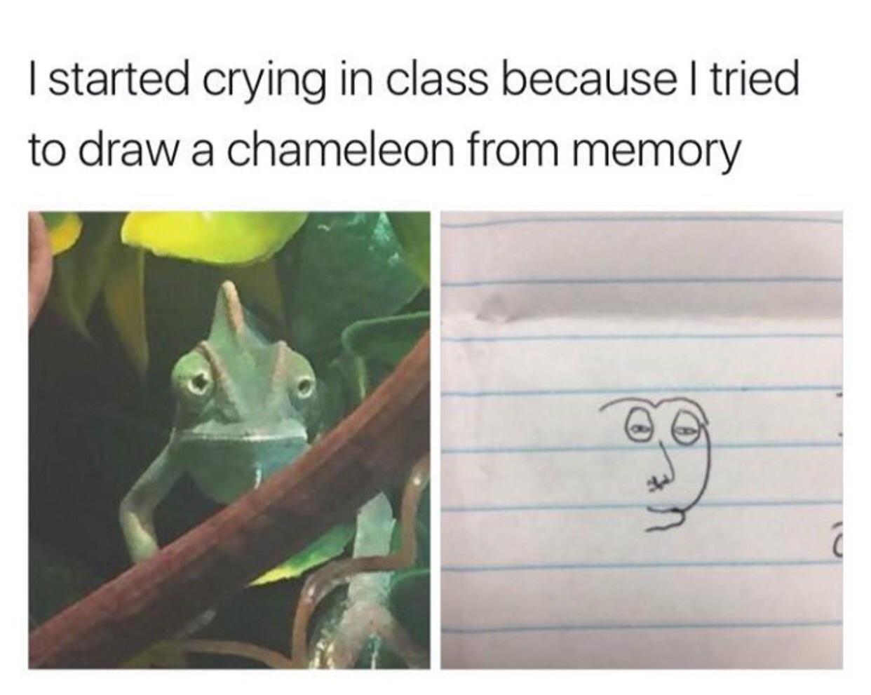 How to draw a chameleon