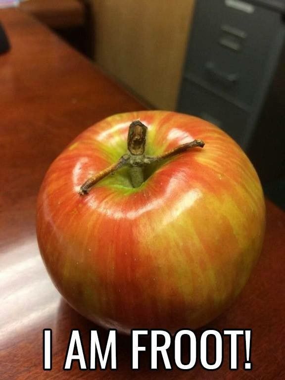 I am froot