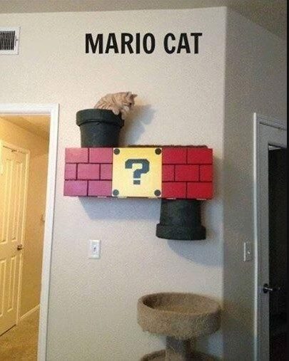 Mario cat
