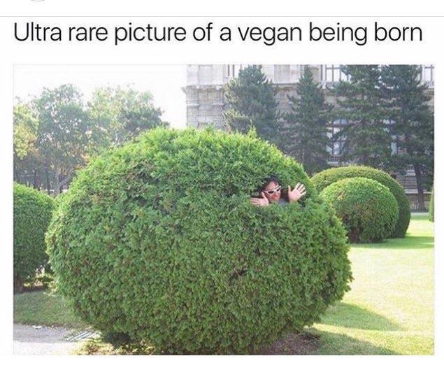 How vegans are born