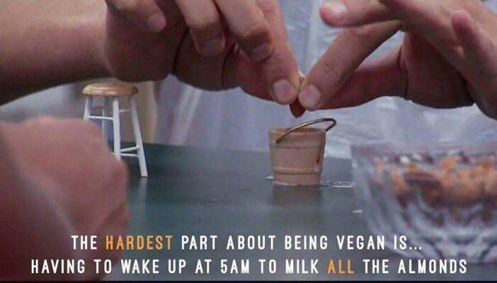 The hardest part being a vegan…