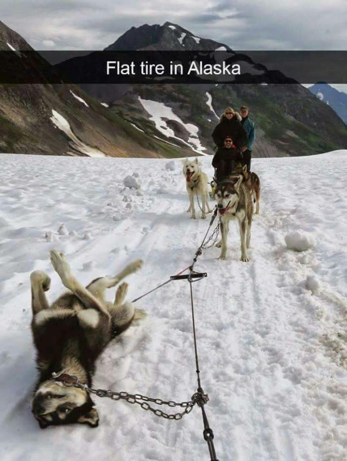 flat-tire-in-alaska-t3hwin