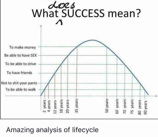 Amazing analysis of lifecycle