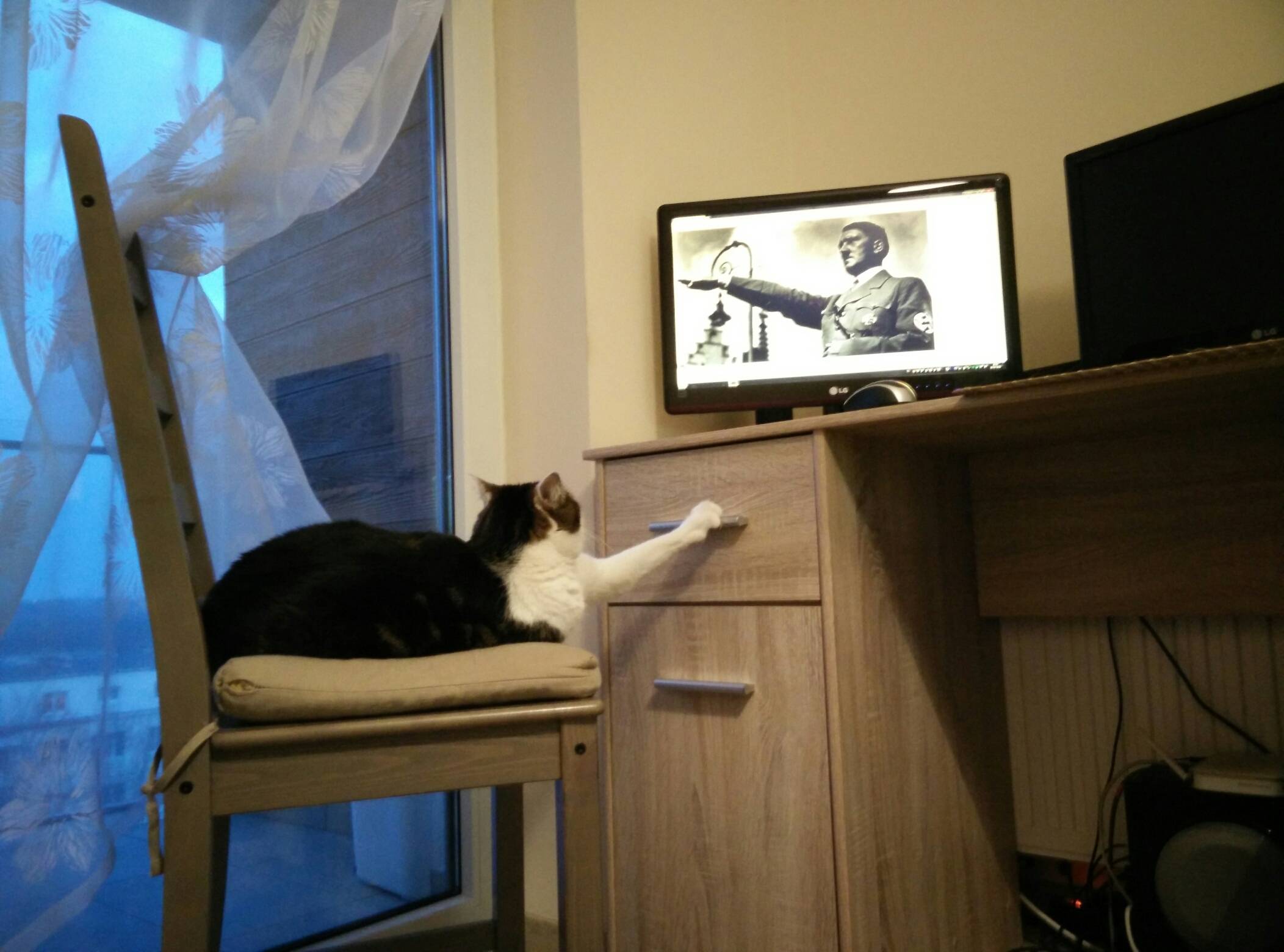 And that’s why you don’t leave your cat alone with the computer