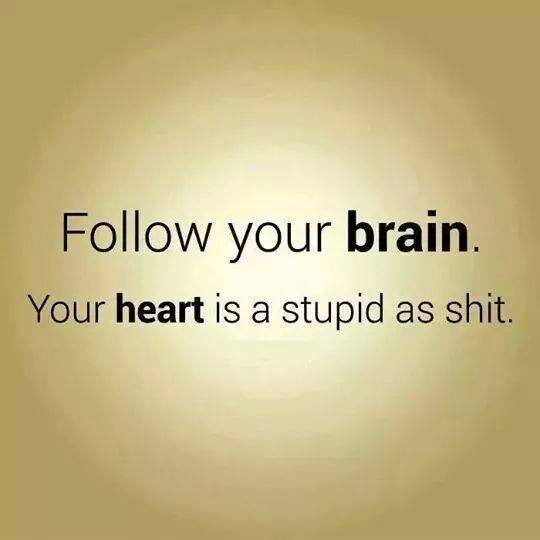 Follow your brain.