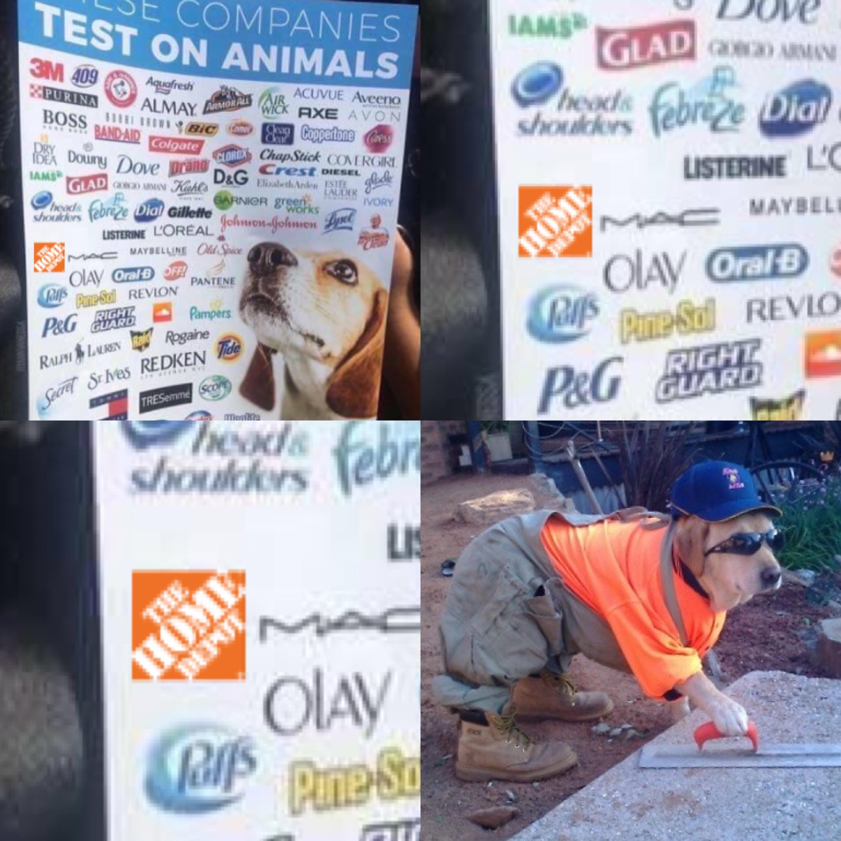These companies test on animals