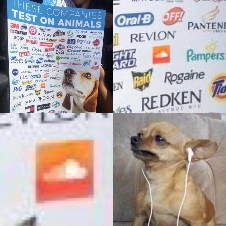 These companies test on animals!