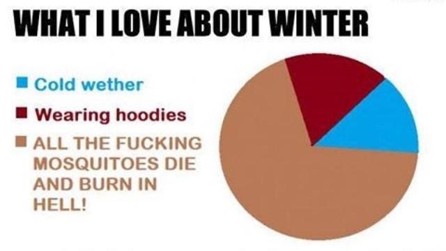 What I love about winter