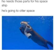 Going to otter space