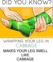 Benefits of wrapping your leg in cabbage