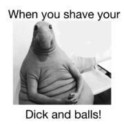 When you shave your dick and balls