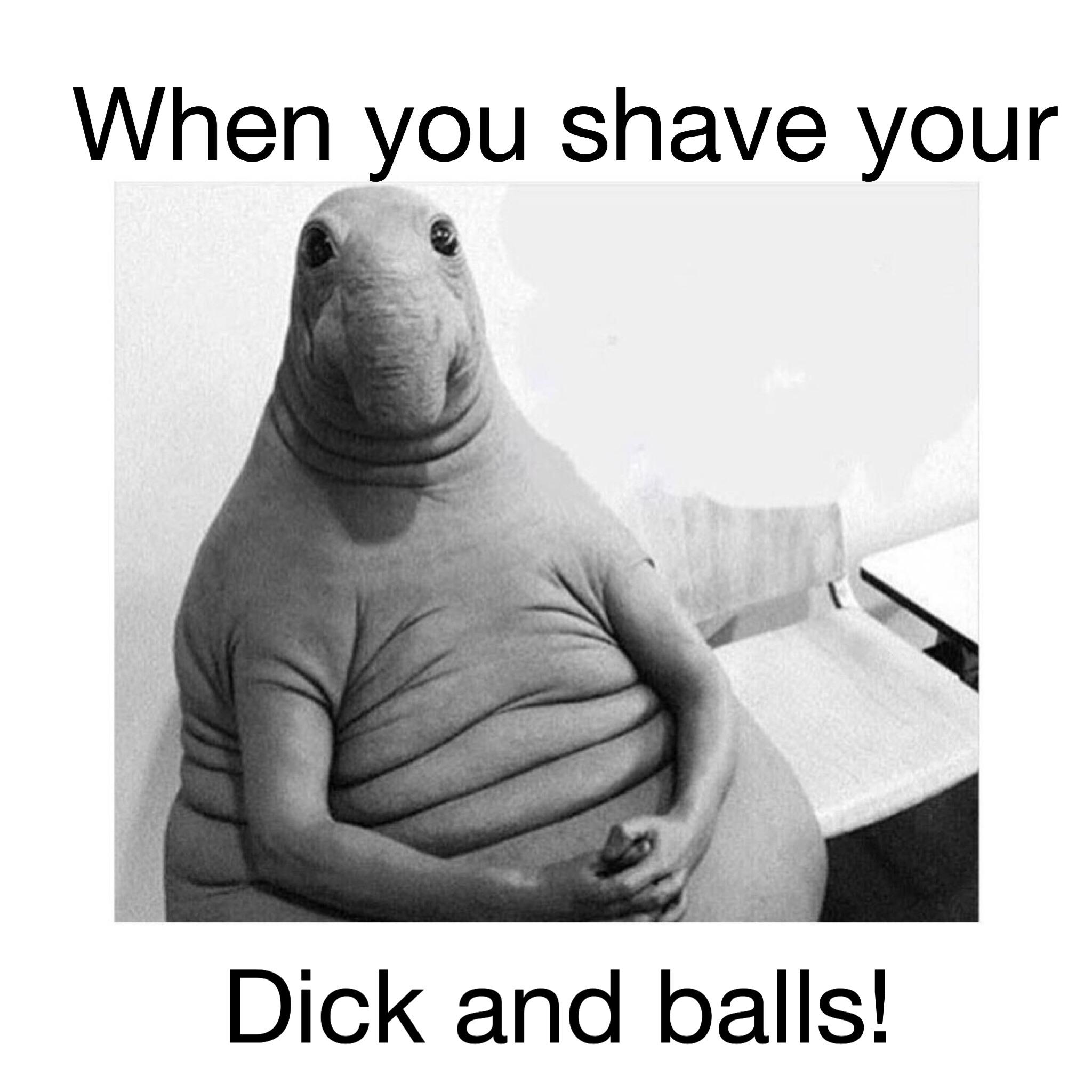 Dick and balls funny