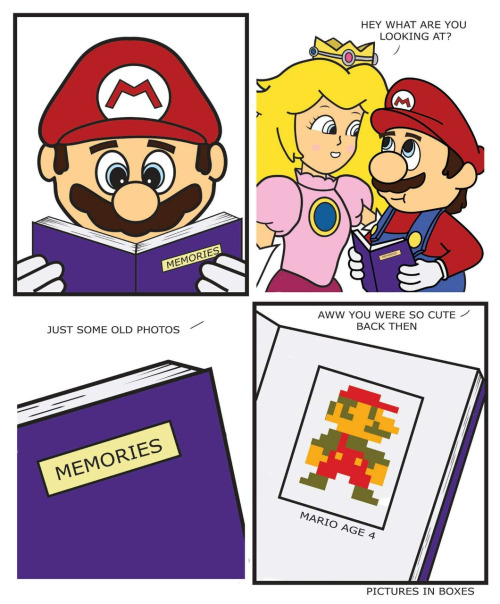 Mario memories book