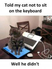 Told my cat not to sit on the keyboard…