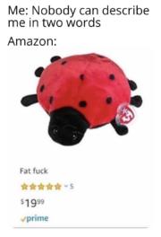 How to describe a product on Amazon in just 2 words