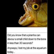 Why I lost my job at the aquarium today