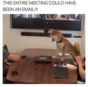 This entire meeting could have been an email!!!!