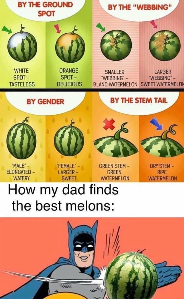 How my dad finds the best melons