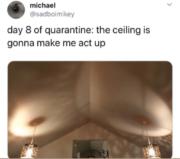 Day 8 of quarantine…the ceiling is gonna make me act up