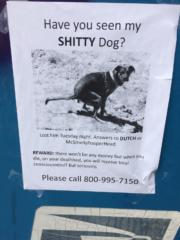 Have you seen my shitty dog?