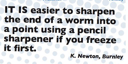 How to sharpen a worm into a point using a pencil sharpener