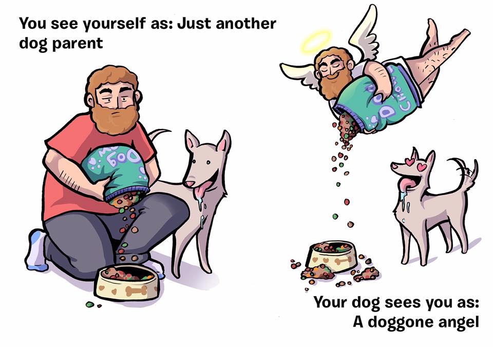 How your dog sees you