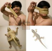 Human gecko cosplay