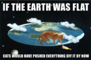 If the Earth was flat, cats would have pushed everything off it by now