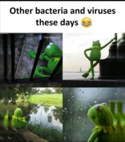 Other bacteria and viruses these days