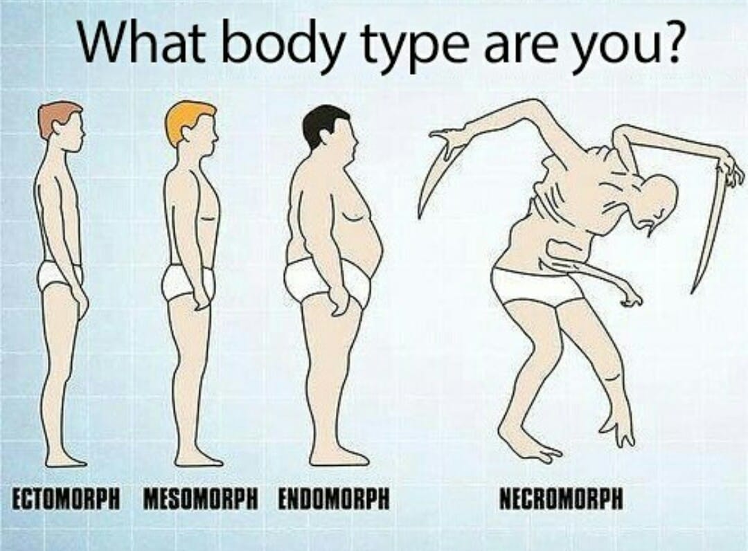 What body type are you?