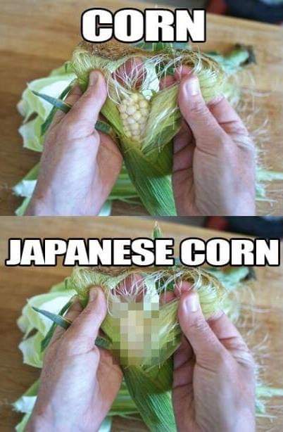 Corn VS Japanese corn 🌽