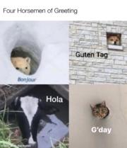 Four Horsemen of Greeting