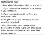 Home Covid Test With Red Wine